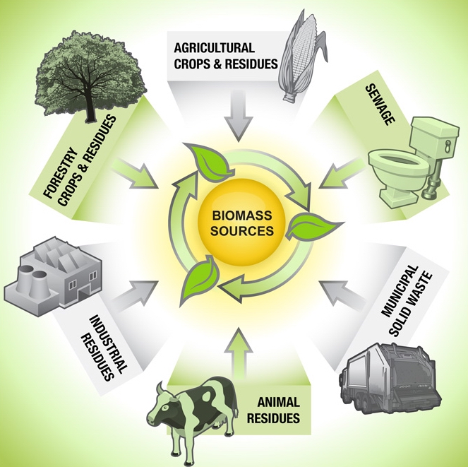 Biomass Resources BioEnergy Consult