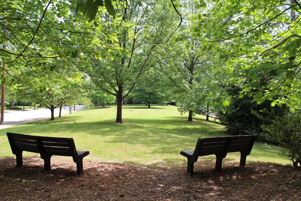 Health Matters: Benefits of Small Parks and Green Spaces