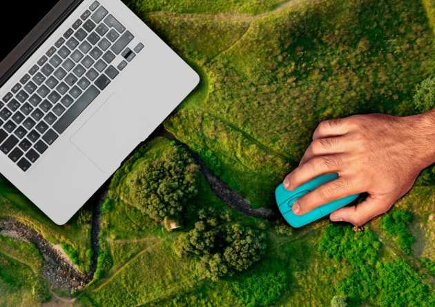 The Future of Environmental Jobs: Navigating Career Paths with Online ...